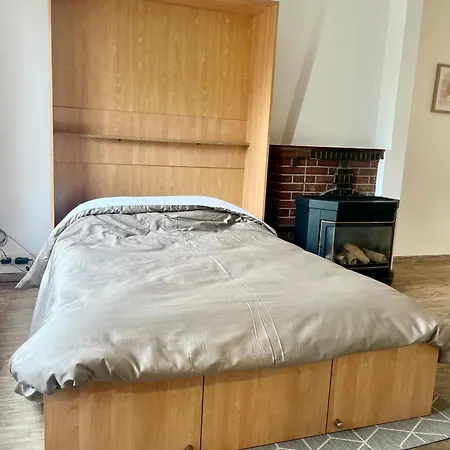 Bel-etage Mariakerke Διαμέρισμα *
